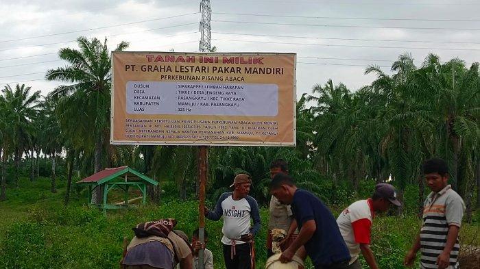 Kuasa PT Graha Lestari Pakar Mandiri (GLPM) memasnag papan bicara dan batas tanah di atas tanah seluas 325 Ha yang terletak di Dusun Lembah Harapan, Desa Desa Jengeng Raya, Kecamatan Kecamatan Tikke Raya.