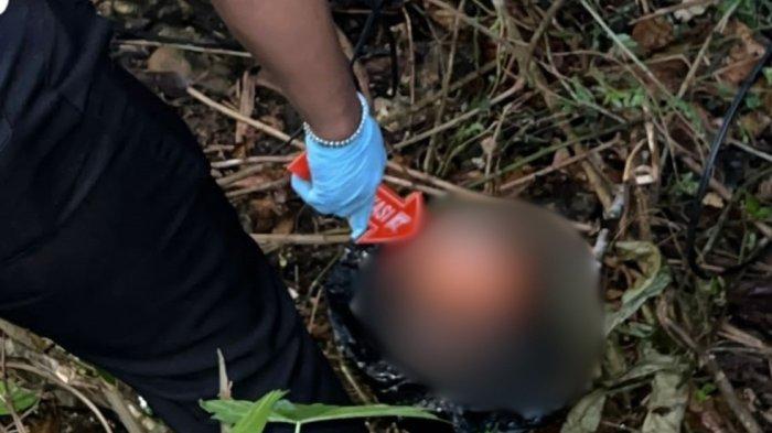 Polisi saat mengidentifikasi lokasi penemuan toples yang diduga berisi janin bayi di kebun warga kebun warga , Jl Pababari, Kelurahan Karema, Kecamatan Mamuju, Kabupaten Mamuju, Sulawesi Barat (Sulbar) Rabu (15/1/2025) pukul 17.00 Wita (Wahyu)