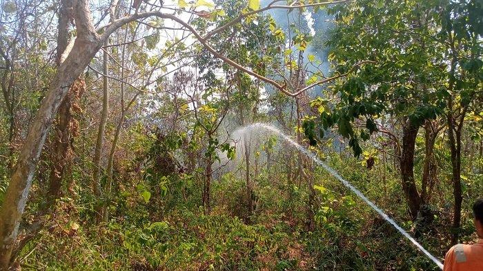 Api Muna Hutan Warangga Muna Sulawesi Tenggara 2 Kali Terbakar, Pemadam ...