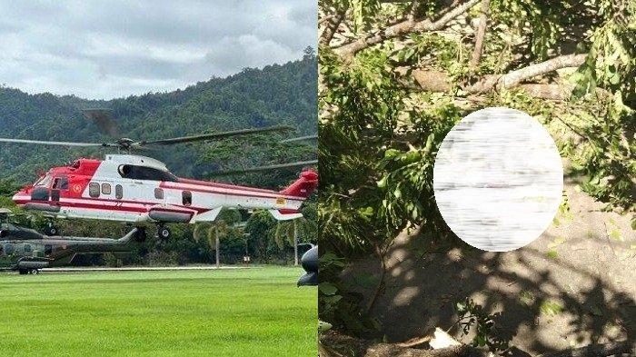 DAHAN POHON - Ibu dan anak tertimpa dahan pohon trembesi di sekitar Lapangan Alun-Alun Kota Raha, Kabupaten Muna, Sulawesi Tenggara, Senin (13/5/2024). Dahan pohon trembesi yang jatuh menimpa ibu dan anak diduga saat helikopter Presiden Republik Indonesia, Joko Widodo (Jokowi), hendak mendarat di Lapangan Alun-Alun Kota Raha. (TribunnewsSultra.com/La Ode Risman Hermawan)