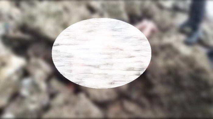 Kronologi Laki-Laki Tua di Kabawo Muna Ditemukan Tewas di Bawah Pohon Jambu Mete