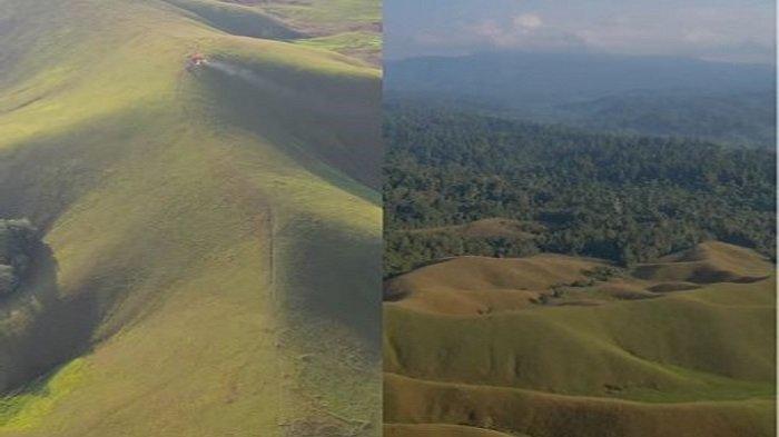 Taman Nasional Rawa Aopa Watumohai atau TNRAW Konawe Selatan, Sulawesi Tenggara.