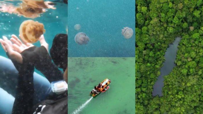 Danau Napabale yang menjadi ikon destinasi pariwisata di Kabupaten Muna, Sulawesi Tenggara (Sultra), juga ada spot wisata tersembunyi yang patut disambangi.   Yakni Danau Ubur-ubur, yang sepanjang tahun 2024 ini menjadi salah satu destinasi wisata unik dan menarik.   Pasalnya, ubur-ubur yang ada di kawasan Danau Napabale ini bisa dipastikan tidak menyengat.   Bahkan dapat tersentuh oleh manusia dan berenang bersama. 