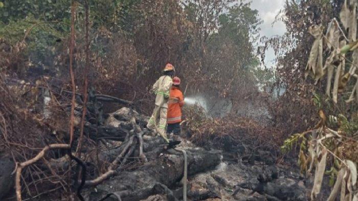 Berikut ini kronologis kebakaran di Jalan Madusila, Keluaraha Anduonohu, Kecamatan Poasia, Kota Kendari, Sulawesi Tenggara, Sabtu (14/10/2023).
