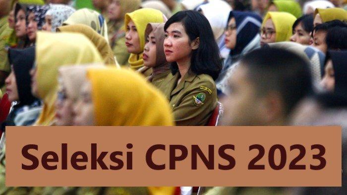 Kapan CPNS 2023 dibuka, intip bocoran jadwal pendaftaran, formasi, jurusan prioritas dalam penerimaan Calon Pegawai Negeri Sipil (CPNS) tahun ini. Bocoran tersebut sebelumnya sudah disampaikan Menteri Pendayagunaan Aparatur Negara dan Reformasi Birokrasi atau MenPAN-RB Abdullah Azwar Anas.