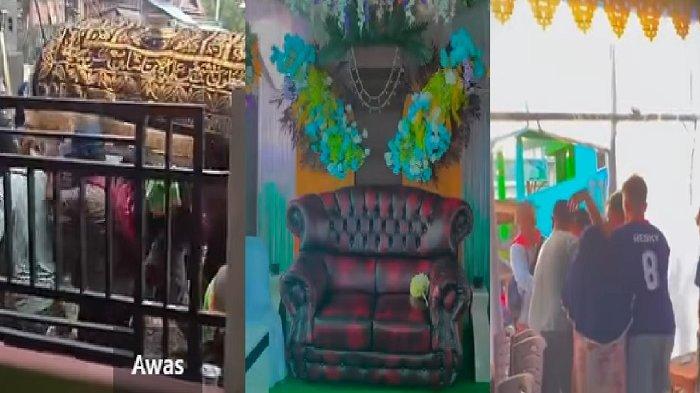 Berikut ini video viral pengantin wanita meninggal sebelum akad nikah terjadi di Bombana, Sulawesi Tenggara (Sultra). Sang pengantin disebutkan mengalami kejang pada hari pernikahannya, Selasa (5/3/2024). Kejadian pilu tersebut terekam kamera dan viral di media sosial. Berbagai akun anonim turut membagikan rekaman video viral tersebut.