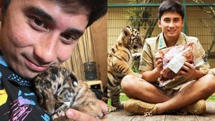 Alshad Ahmad ramai dikecam setelah membagikan kabar duka bayi harimaunya bernama Cenora mati. Terungkap penyebab bayi harimau itu meregang nyawa.