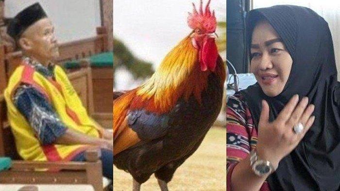 Awal Mula mbah Suyatno dituduh mencuri hingga dilaporkan oleh Kepala Desa Pandantoyo, Kecamatan Temayang, Kabupaten Bojonegoro, hingga terancam pidana.