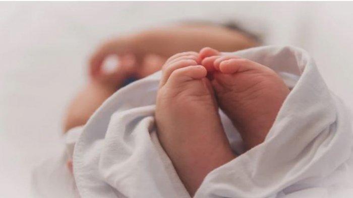 Ulustrasi Bayi. Bayi laki-laki tak berdosa yang baru dilahirkan 18 hari berinisial MA diduga menjadi korban kekejaman sang ibu, YW (33) yang berharap anak perempuan