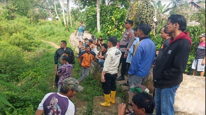 Heboh, beruang masuk kampung di Pagaralam persisnya di Dusun Baru Kelurahan Alun Dua Kecamatan Pagaralam Utara. Warga menuturkan melihat beruang tersebut bergelantungan di pepohonan.