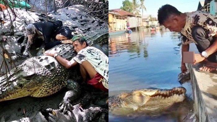 Cerita dibalik pak Ambo beri nama buaya Riska.