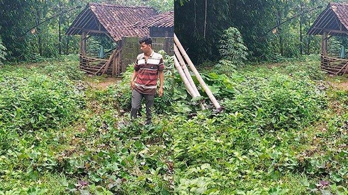 Detik-detik Mengerikan Saat Supriyadi Diduga Tega Membunuh Ibunya di Boyolali, Dipukuli Dengan Batu