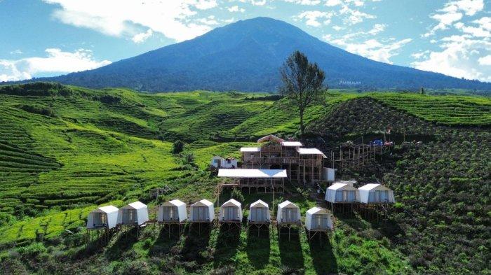 
Tampak Dempo Highland Glamping yang berada di tengah-tengah Kebun Teh Gunung Dempo. 
