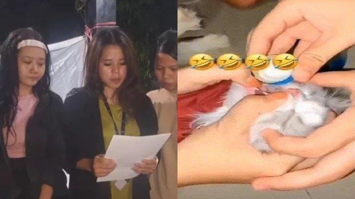 Inilah sosok tiga wanita di Padang, Sumatera Barat, viral cekoki kucing dengan minuman keras (miras), Syinita Ade Putri (24) Lenni Marlina (25) Sisri
