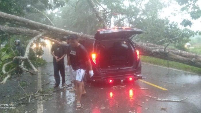 POLISI DI JAMBI TEWAS- Kanit Dalmas Sabhara Polres Tanjung Jabung Timur, Ipda Almu Jamil, tewas setelah mobil yang ditumpanginya tertimpa pohon tumbang saat ujan deras di Jalan Lintas Jambi-Muara Sabak, Zone III, Kecamatan Geragai, Kabupaten Tanjung Jabung Timur, Provinsi Jambi, pada Selasa (13/5/2025) sore.