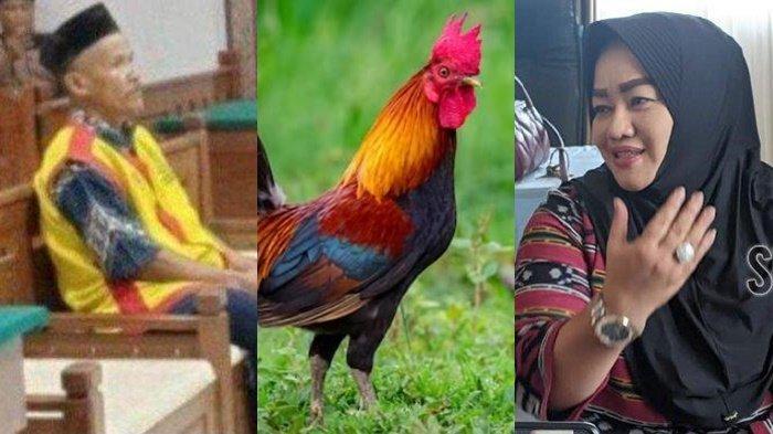 Kepala Desa Pandantoyo, Temayang, Bojonegoro, Jawa Timur, Siti Kholifah mengaku ayamnya yang dicuri merupakan 