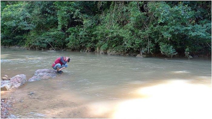 Air Sungai Tiku Terlihat Lebih Jernih Pasca Penggerebekan Tambang Emas
