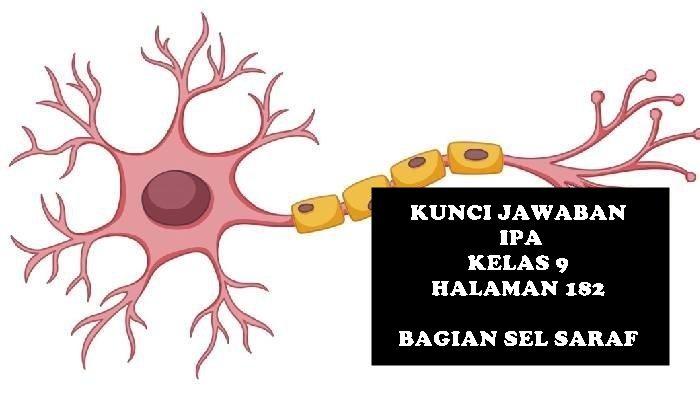 Kunci Jawaban Buku Paket IPA Kelas 9 SMP/MTs Halaman 182 Tentang Bagian