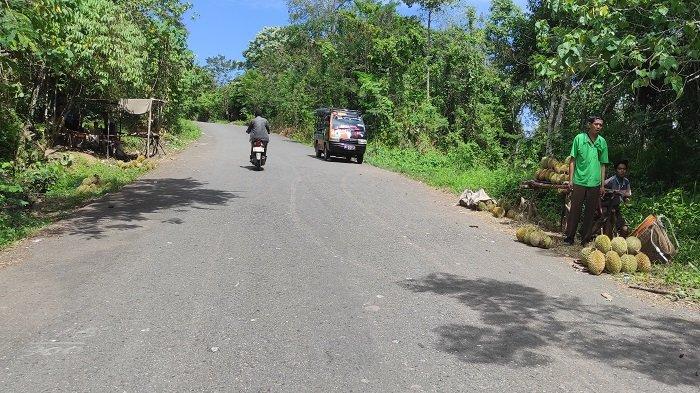 Titipan Rezeki Berupa Durian, Musim Durian Tiba, Arus Uang di Babel Meningkat