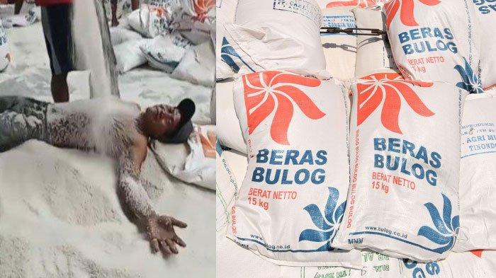 Nasib Kuli Guling Guling Diatas Tumpukan Beras Bulog di Gudang, Dapat Sanksi Berat dari Perusahaan