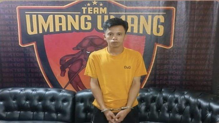 PENGGELAPAN - Tersangka Angga Mahendra (23) warga Kecamatan STL Ulu Terawas saat diamankan di Mapolsek Terawas. Tersangka diamankan lantaran melakukan pengelapan uang hasil penjualan ayam miik bosnya.