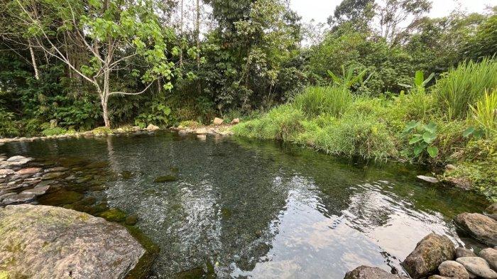 
Pemandian Puyang Puteri yang ada di Desa Sawah di Empat Lawang 