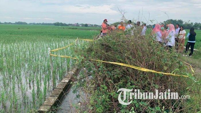 MAYAT ANPA KEPALA - Pihak kepolisian saat melakukan olah tempat kejadian perkara (TKP) penemuan jasad tanpa kepala di saluran irigasi di Desa Dukuharum, Kecamatan Megaluh, Kabupaten Jombang, Jawa Timur, Rabu (12/2/2025).