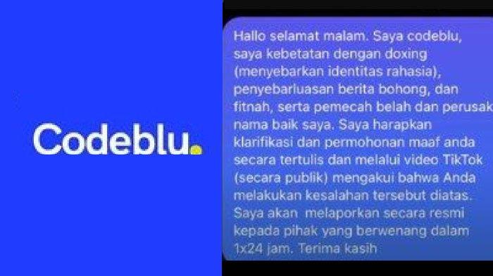 Profil Codeblu Food Vlogger Viral Kritik Pedas Warung Makan Nyak Kopsah, Tak Pernah Tunjukkan Wajah
