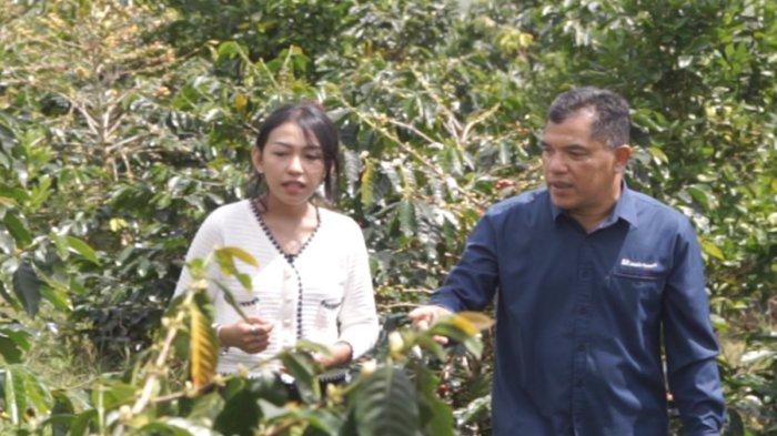 Meninjau Lokasi Kebun Kopi - Senyum Petani Kopi di Semende Muara Enim, Panen Berlimpah Berkat Pembinaan CSR PT Bukit Asam