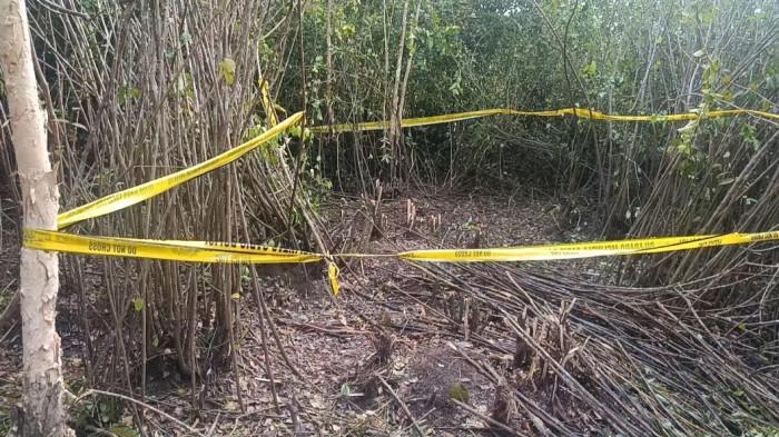 TKP PENEMUAN : Seorang anak perempuan Rania Dwi Putri (6) ditemukan dengan kondisi tidak bernyawa di area perkebunan karet Desa Pedamaran 5, Kecamatan Pedamaran, Kabupaten Ogan Komering Ilir (OKI) pada Sabtu (26/7/2025) malam.