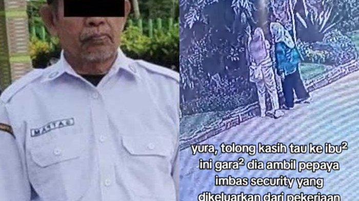 Seorang satpam di tempat wisata Bogor mendadak dipecat gegara aksi pengunjung mencuri pepaya ditempat tersebut.