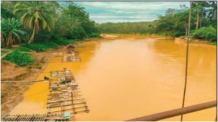 Tambang Emas Liar Muratara Dilema Pemerintah Antara Sungai Keruh Dan