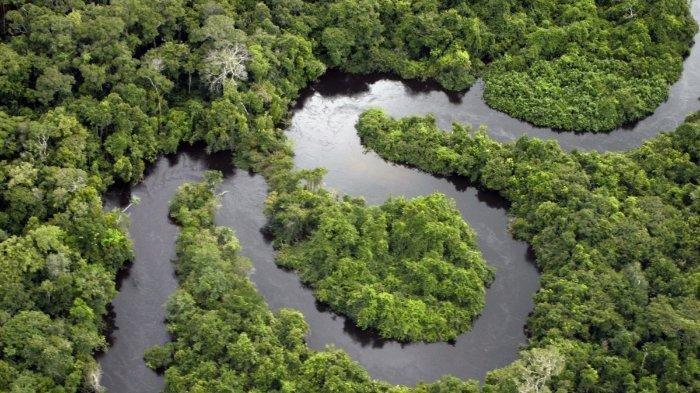 HUTAN AMAZON - Tangkapan layar Google Maps Hutan Amazon diserbu ulasan bintang satu dari netizen Indonesia sebagai aksi balasan.