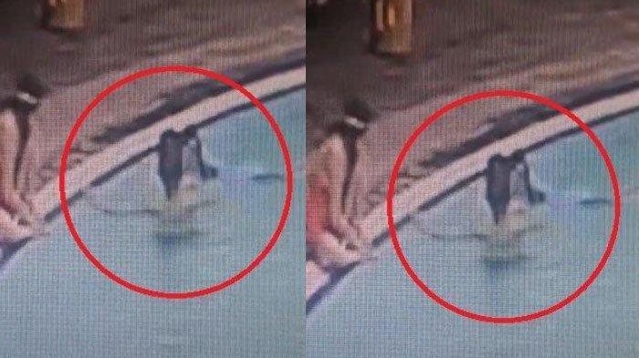 Terkuak gelagat YA yang menarik Dante masuk kedalam kolam renang