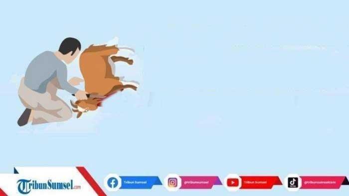Tips Mengolah Daging Kurban Agar Empuk dan Tidak Bau Amis Saat Dimasak dengan Bahan Alami