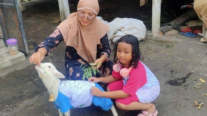 Irna Tri Wijayanti, bidan wedhus, dan domba mungil bernama Cemot dari Rarari Farm di Padukuhan Glagah, Kalurahan Glagah, Kapanewon Temon, Kabupaten Kulon Progo, Daerah Istimewa Yogyakarta. Kambing yang suka dipakaikan baju, pampers, dan dibagi pakai gendongan bahu. 