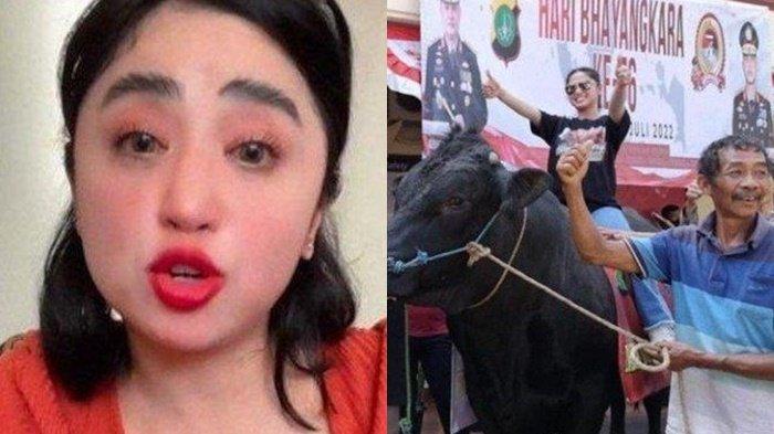 Kronologi sapi kurban Dewi Perssik ditolak oleh ketua RT hingga mengaku dipalak Rp100 juta.