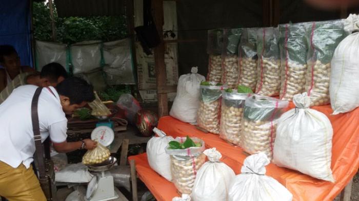 Wisatawan memetik duku di kebun milik petani di Plemahan
