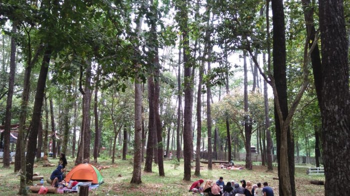 Taman Punti Kayu di Palembang.