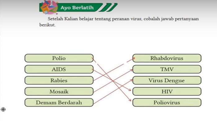 Jawaban Soal IPA Kelas 10 Halaman 43