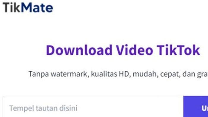 Cara Mudah Download Video Tiktok Tanpa Watermark Tak Perlu Unduh Cara Mudah Download Video Tiktok Tanpa Watermark Tak Perlu Unduh