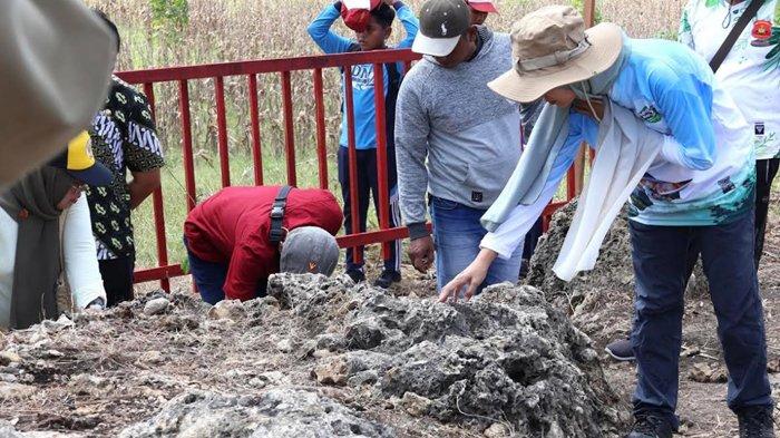 JEJAK PURBAKALA - Kunjungan lapangan Tim Verifikasi Geopark Nasional (VGN) menemukan kekayaan bersejarah yang semakin memperkuat posisi Bojonegoro sebagai kawasan geologi penting di Indonesia. Dalam ekspedisi revalidasi di empat kecamatan (Sugihwaras, Temayang, Bubulan, dan Sekar), Tim Geopark Nusantara Bojonegoro menemukan jejak purbakala berupa fosil gigi hiu yang tersimpan di geosite setempat, kamis (12/6/2025) kemarin.