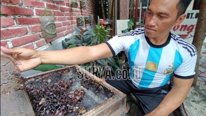 Apa Sih Bongares Wisata 3D Itu?