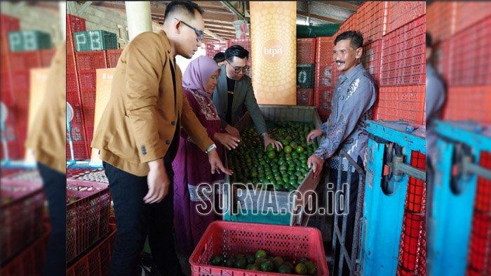 Seger Riyanto (54) dan Lilik Ekowijayanti (50) sibuk menyortir puluhan boks buah jeruk yang baru saja didapat dari para petani di rumahnya di Desa Bulurejo, Kecamatan Purwoharjo, Kabupaten Banyuwangi, Kamis (12/6/2025). Kisah Seger menunjukkan kenaikan taraf ekonomi dari sopir menjadi juragan buah.