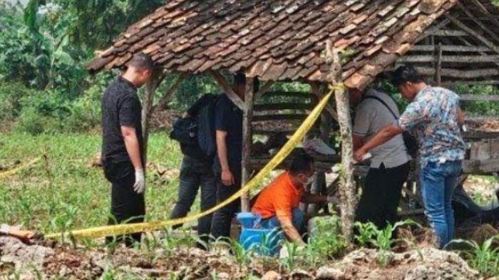 Penemuan jasad pria di tengah ladang jagung wilayah Desa Wotan, Kecamatan Panceng, Kabupaten Gresik, gegerkan warga, Selasa (26/3/2024).