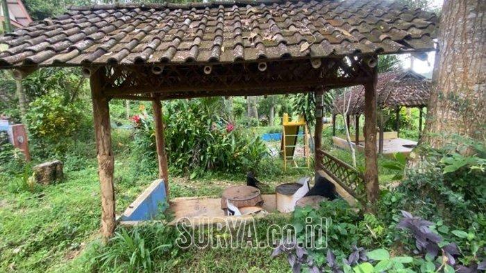 WISATA TERBENGKALAI - Suasana wisata Rawa Indah Almor di Desa Alas Sumur, Kecamatan Pujer Kabupaten Bondowoso yang kini terbengkalai, Kamis (17/4/2025). Destinasi wisata ini pernah menjadi primadona dengan meraup ribuan pengunjung setiap pekan di tahun 2021.
