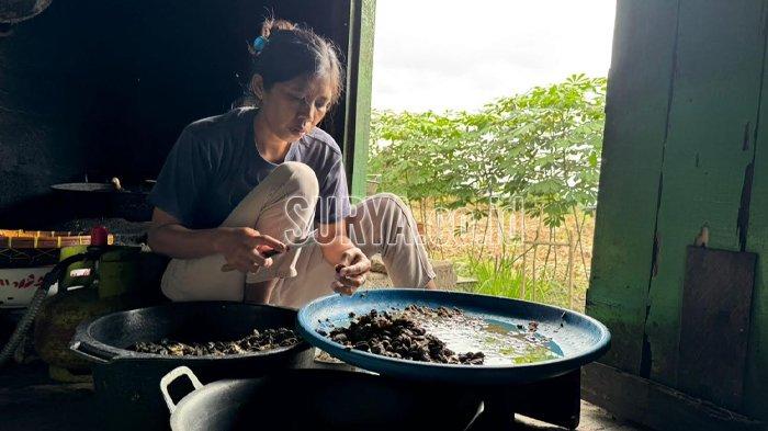 Salah satu penjual di warung Hosana Desa Plosokidul Kecamatan Plosoklaten saat mengolah bekicot.