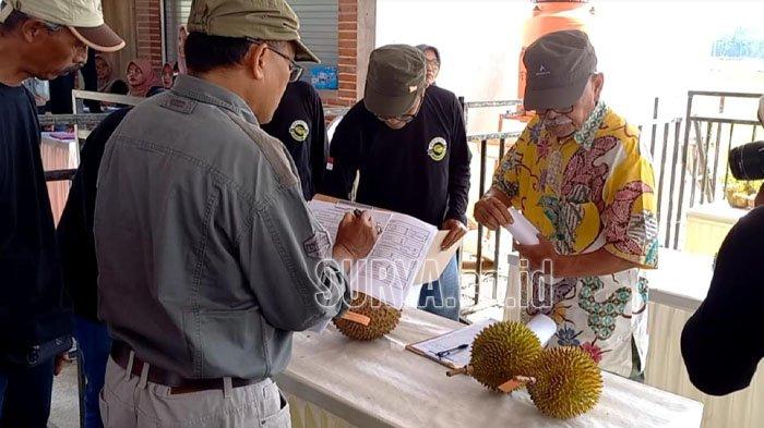 Kontes Durian Di Kabupaten Trenggalek Orbitkan Varietas Lokal Unggulan Surya Co Id Kontes Durian Di Kabupaten Trenggalek Orbitkan Varietas Lokal Unggulan Surya Co Id