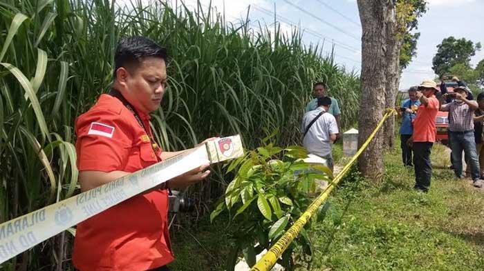 Bayi Laki-laki Dibuang di Persawahan Desa Pojok Tulungagung, Meninggal ...