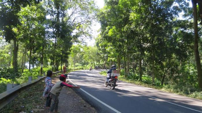 Avanza Veloz Putih di Puncak Gunung Gumitir: Sebuah Perjalanan Menuju Ketenangan